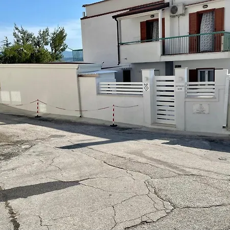 Matthew's 4* 페스키치