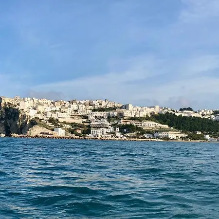 Couette-café Matthew's